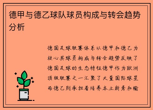 德甲与德乙球队球员构成与转会趋势分析
